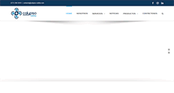 Desktop Screenshot of calypso-safety.com